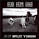 Subhumans/29 29 Split Vision