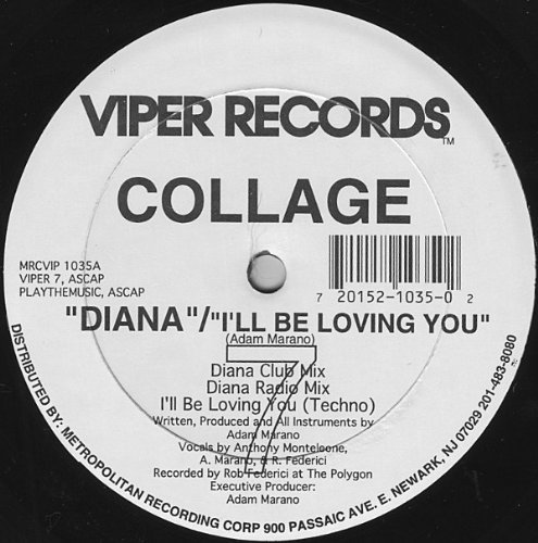 Collage/Diana
