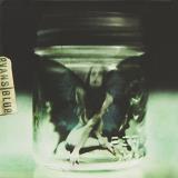 Evans Blue Melody & The Energentic Nature 