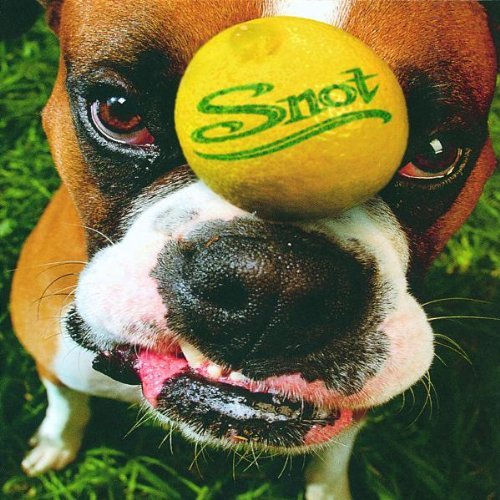 Snot/Get Some@Explicit Version@Get Some