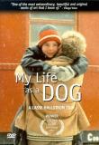 My Life As A Dog Glanzelius Von Bromssen Liden Clr Mult Dub Sub Pg13 