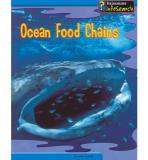 Emma Lynch Ocean Food Chains 