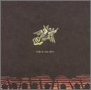 Explosions In The Sky/Those Who Tell Truth Shall Die