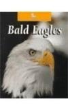 Karen Dudley Bald Eagles 