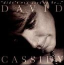 David Cassidy Didn't You Used To Be 