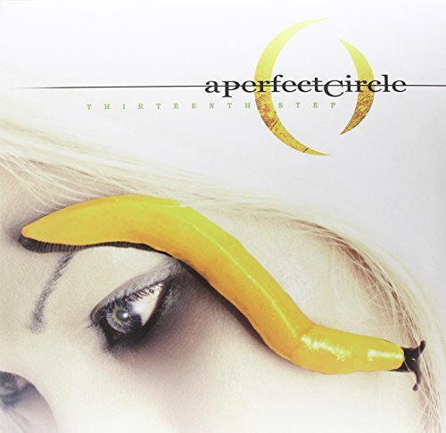 Perfect Circle/Thirteenth Step@2 Lp