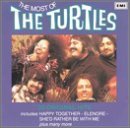 Turtles Most Of Turtles 