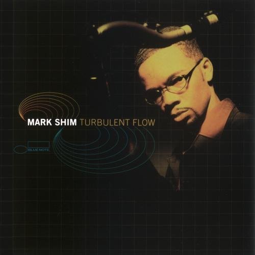 Mark Shim Turbulent Flow 