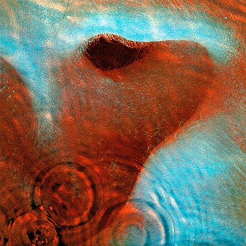 Pink Floyd/Meddle (1971)@Import-Eu