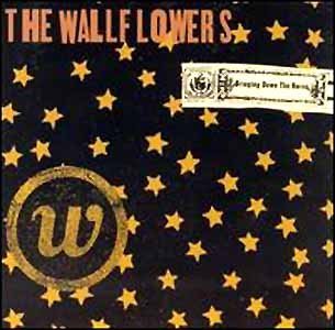 WALLFLOWERS/BRINGING DOWN THE HORSE