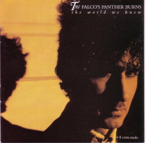 Tav Falco's Panther Burns/World We Knew