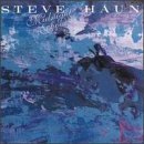 Steve Haun/Midnight Echoes