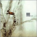 Recoil/Liquid@Lmtd Ed.