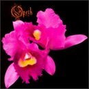 Opeth/Orchid