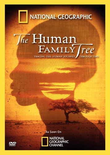 Human Family Tree National Geographic Nr 