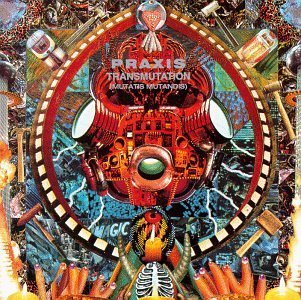 PRAXIS/TRANSMUTATION (MUTATIS MUTANDI