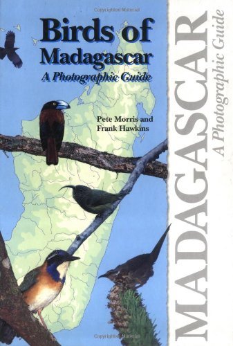 Peter Morris Birds Of Madagascar A Photographic Guide 