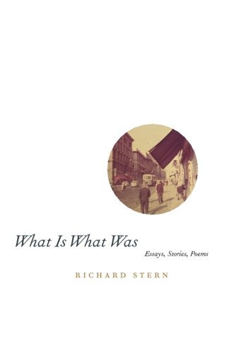 Richard Stern/What Is What Was@0002 EDITION;