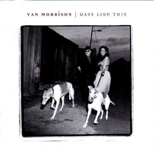 MORRISON,VAN/DAYS LIKE THIS