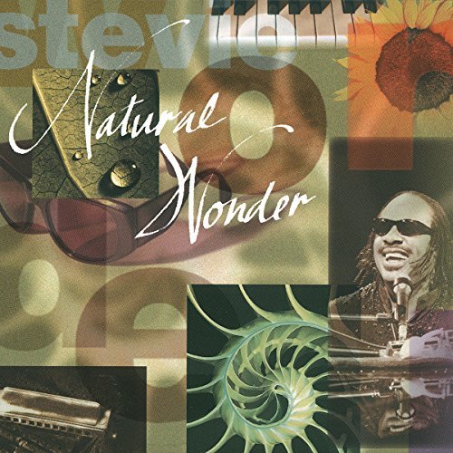 Stevie Wonder/Natural Wonder@2 Cd