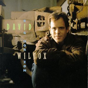 David Wilcox/Big Horizon