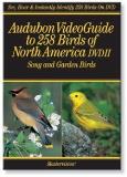 Audubon Video Guide To 258 Bir Vol. 2 Song & Garden Clr Nr 