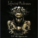Infected Mushroom Im The Supervisor 