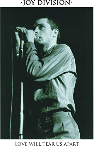 Joy Division/Love Will Tear Us Apart