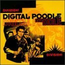 Digital Poodle/Division!