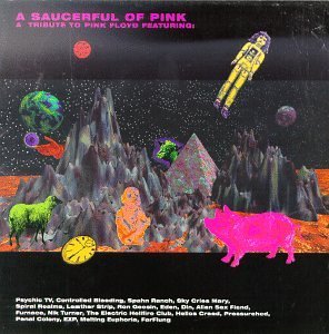 Saucerful Of Pink/Tribute To Pink Floyd