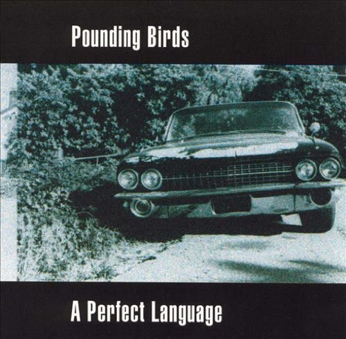 Pounding Birds/Perfect Language