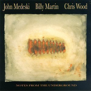 MEDESKI/MARTIN/WOOD/NOTES FROM THE UNDERGROUND