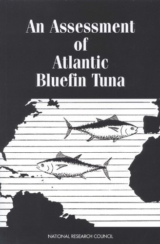 National Research Council An Assessment Of Atlantic Bluefin Tuna 