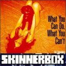 Skinnerbox/What You Can Do What You Can'T