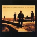 Frank & Catholics Black/Dog In The Sand