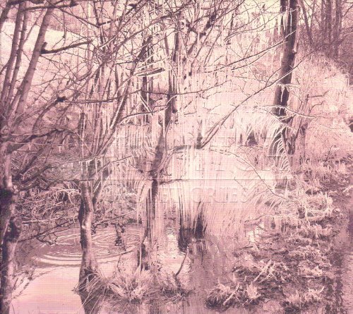 Esben & The Witch/Violet Cries