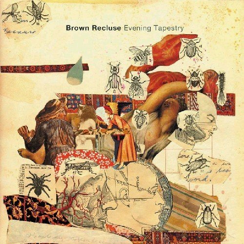 Brown Recluse/Evening Tapestry