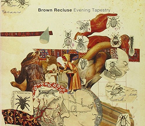 Brown Recluse/Evening Tapestry