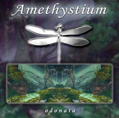 Amethystium/Odonata