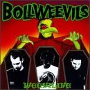 Bollweevils/Weevilive