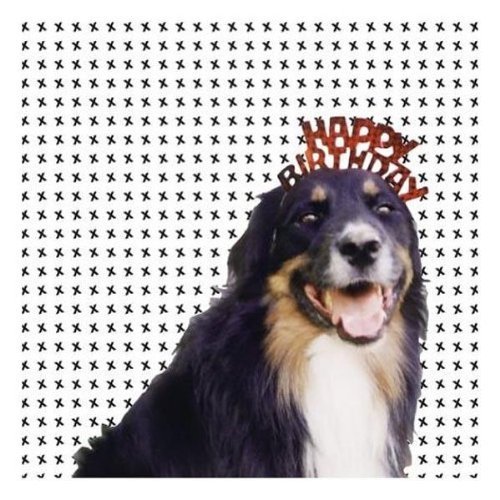 Mollie's Mix/Mollie's Mix