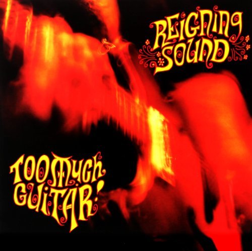 Reigning Sound/Too Much Guitar