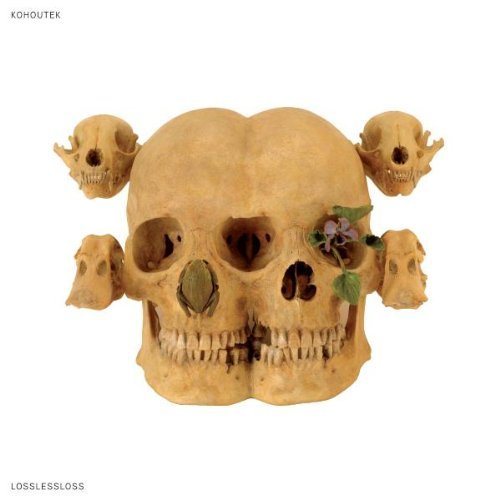 Kohoutek/Lossless Loss