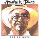 Homesick James/Got To Move