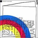 MR. T EXPERIENCE/MIRACLE OF SHAME