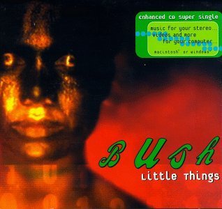 Bush/Little Things@Enhanced Cd