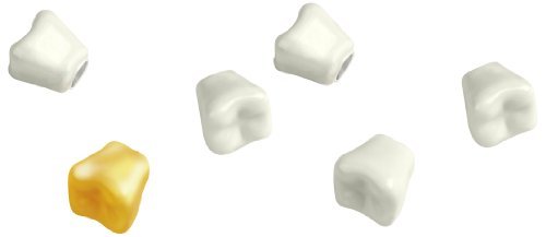 Magnets/Teeth