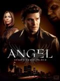 Angel Season 3 DVD 