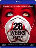 28 Weeks Later 28 Weeks Later Blu Ray Ws R 
