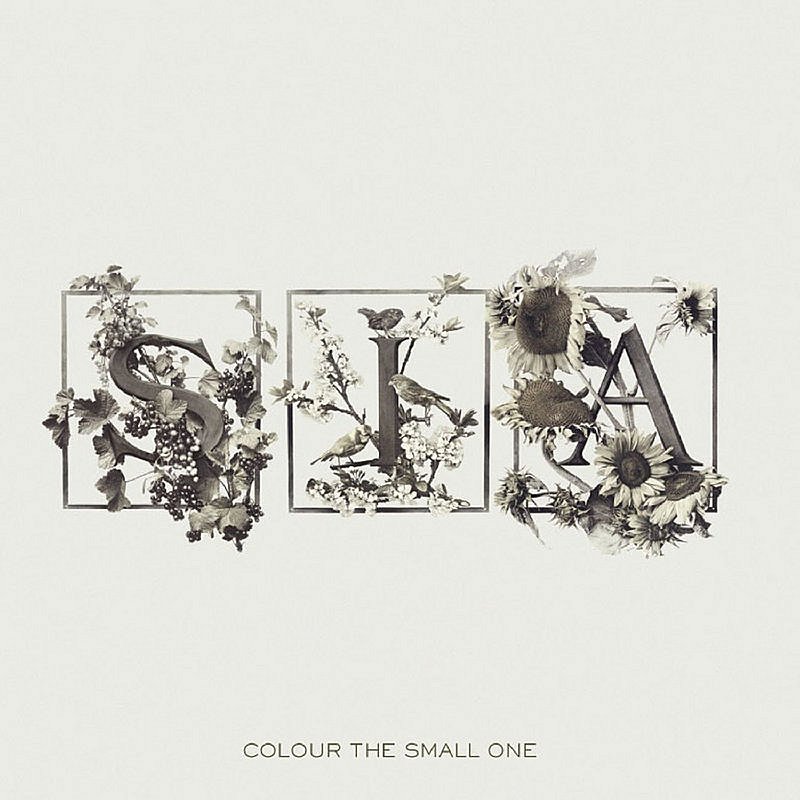 Sia/Colour The Small One@Import-Gbr@Incl. Bonus Track